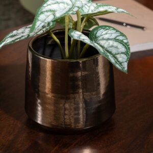ANTHU/TARO POT PL VER ASS2