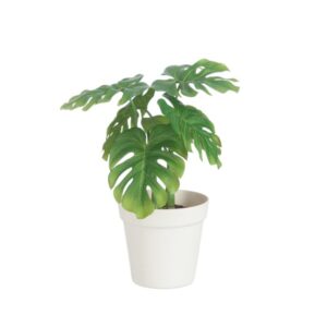 FEUILLE PHILO+POT PL VER/BLA M