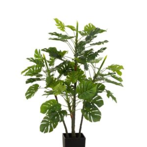 PHILODENDRON POT PLAST VERT L